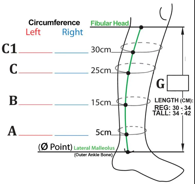 Compreflex Calf With Transition Liners - Image 4